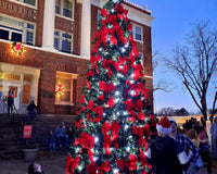 Commercial Outdoor Christmas Décor: More Than Just Festive, It's Free Advertising