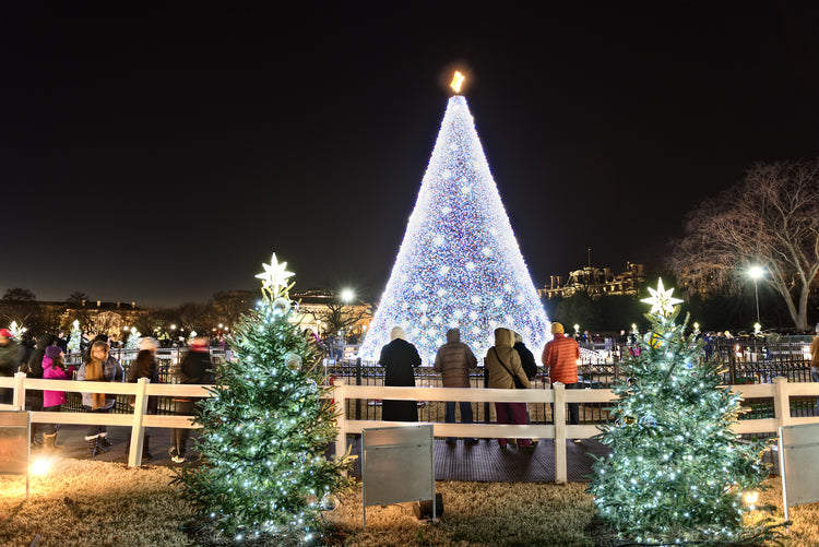 Pop-Up Christmas Trees vs. Panel Christmas Trees: A Comparison