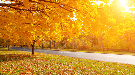 Fall Pole Banners