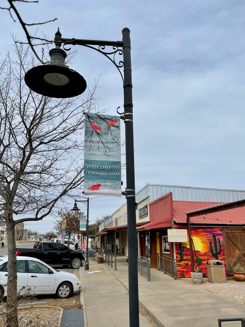 Load image into Gallery viewer, D400 Snow Cardinals - Pole Banner
