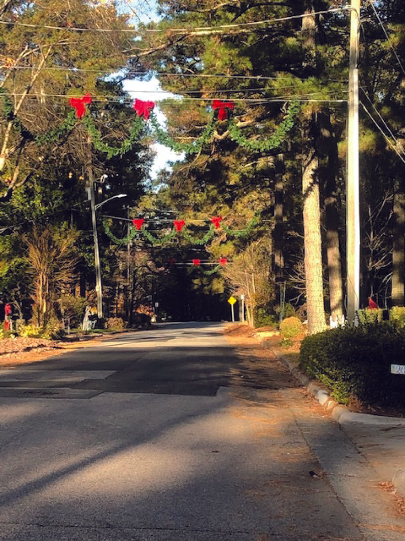 Load image into Gallery viewer, 50-ft Garland &amp; Bow Over the Street Christmas Decoration
