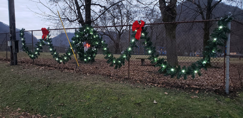 Load image into Gallery viewer, 25 Foot Lighted Timberline Christmas Garland - Cool White LED
