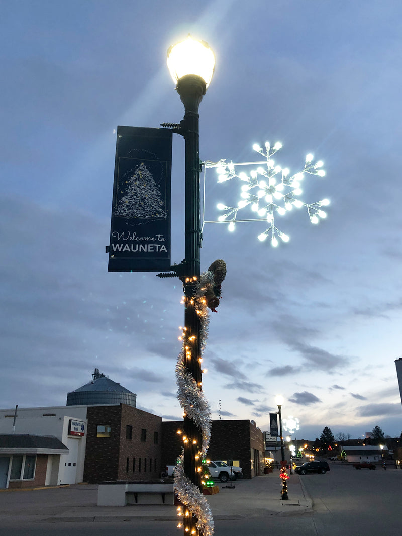 Load image into Gallery viewer, 6&#39; Star Snowflake Silhouette Pole Mounted Decoration
