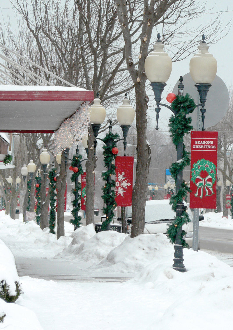 Load image into Gallery viewer, 15-ft Lit Timberline Christmas Garland - Cool White LED
