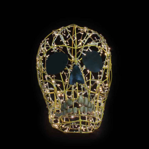 3' Skull Head Halloween Light Display