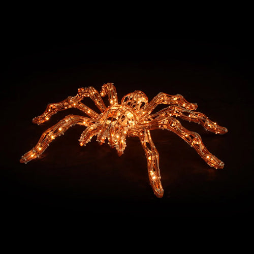 Giant Spider Light Display