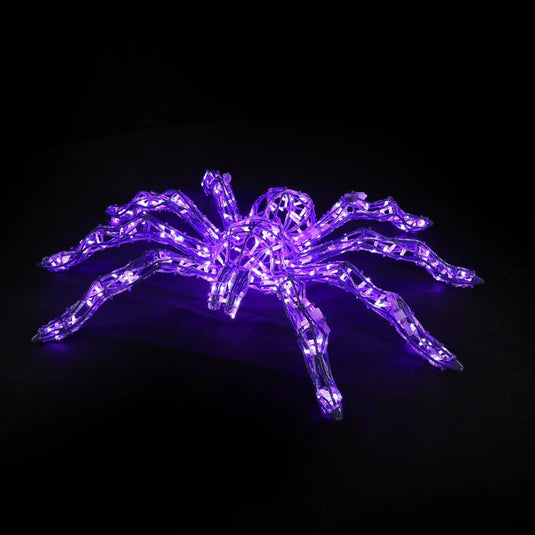 Giant Spider Light Display