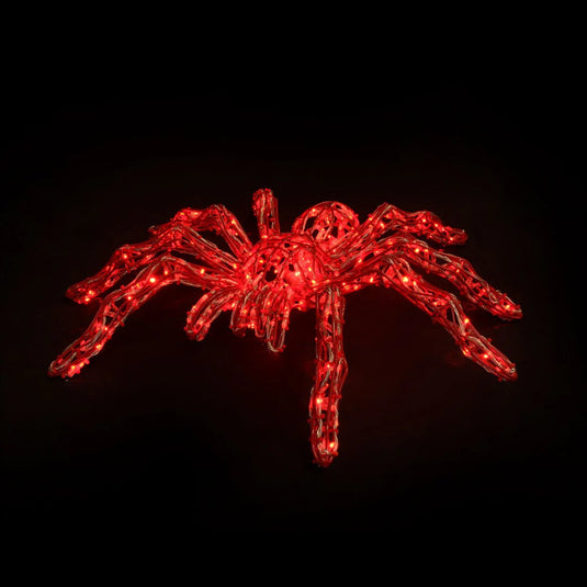 Giant Spider Light Display