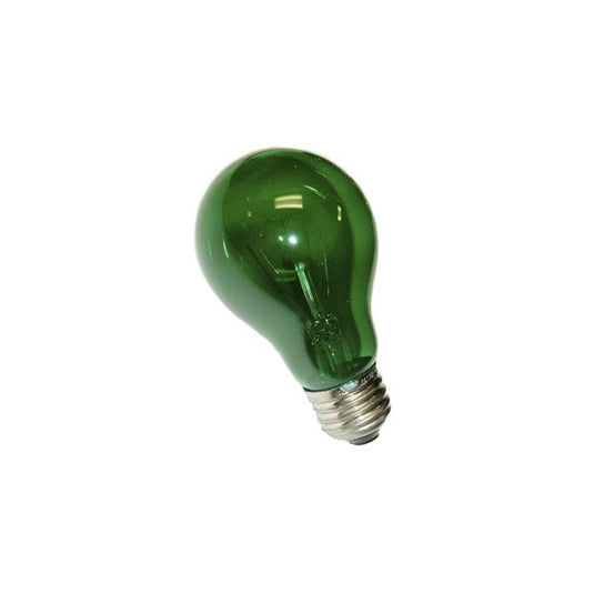 A19 Incandescent Light Bulbs