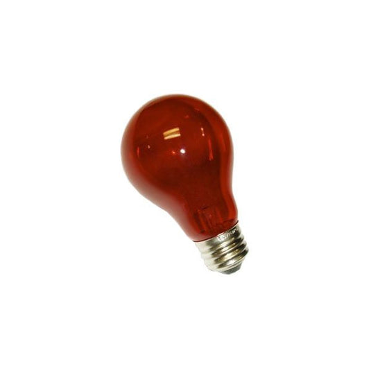 A19 LED Light Bulbs